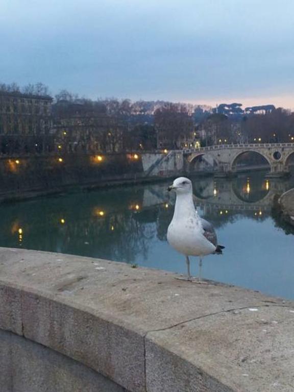 Welcome To Rome B&B Экстерьер фото